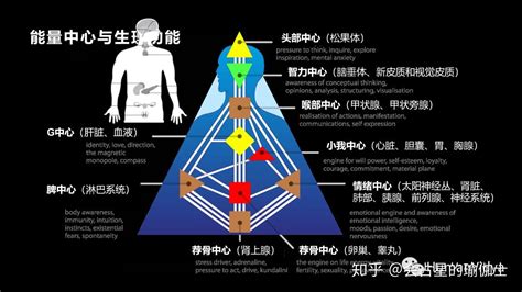 人類圖分析怎麼看|如何看懂人类图：解释与定义